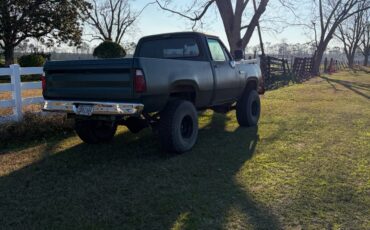 Dodge-Power-Wagon-1978-1