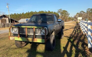 Dodge-Power-Wagon-1978-3