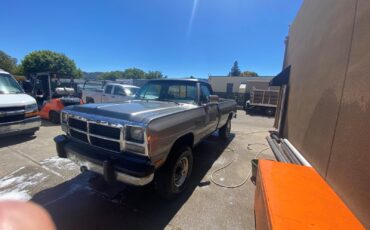 Dodge-Power-Wagon-1991-Single-Cab-8