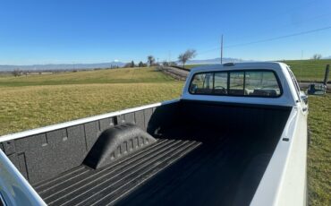 Dodge-W-Series-1992-16