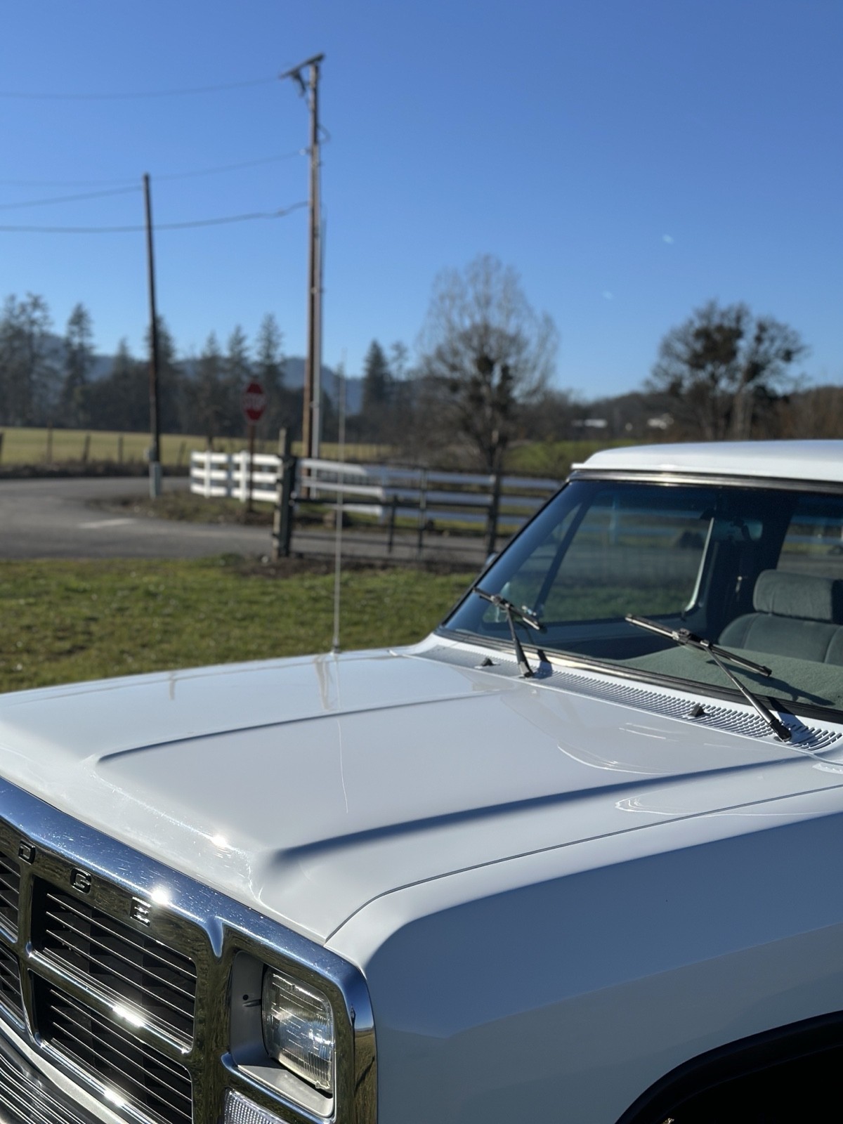 Dodge-W-Series-1992-19