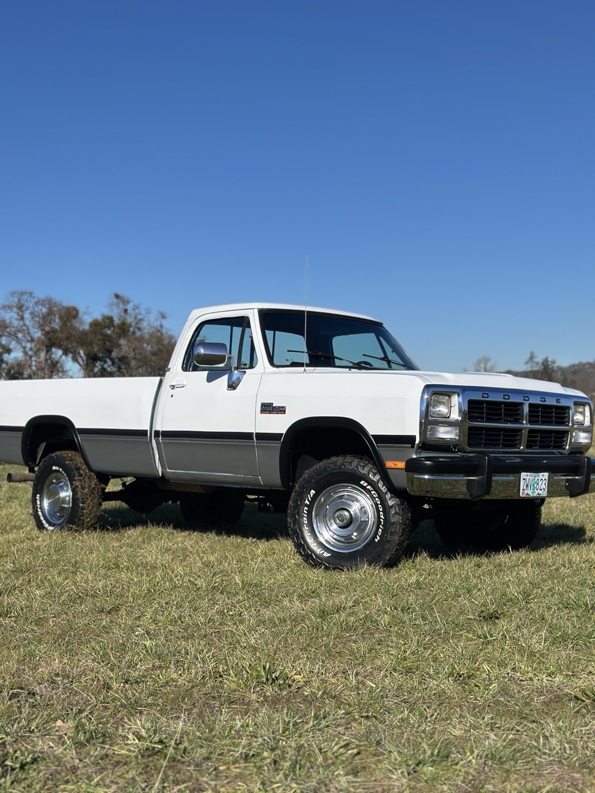 Dodge-W-Series-1992-2