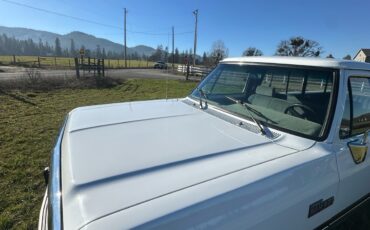 Dodge-W-Series-1992-20