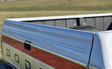 Dodge-W-Series-1992-21