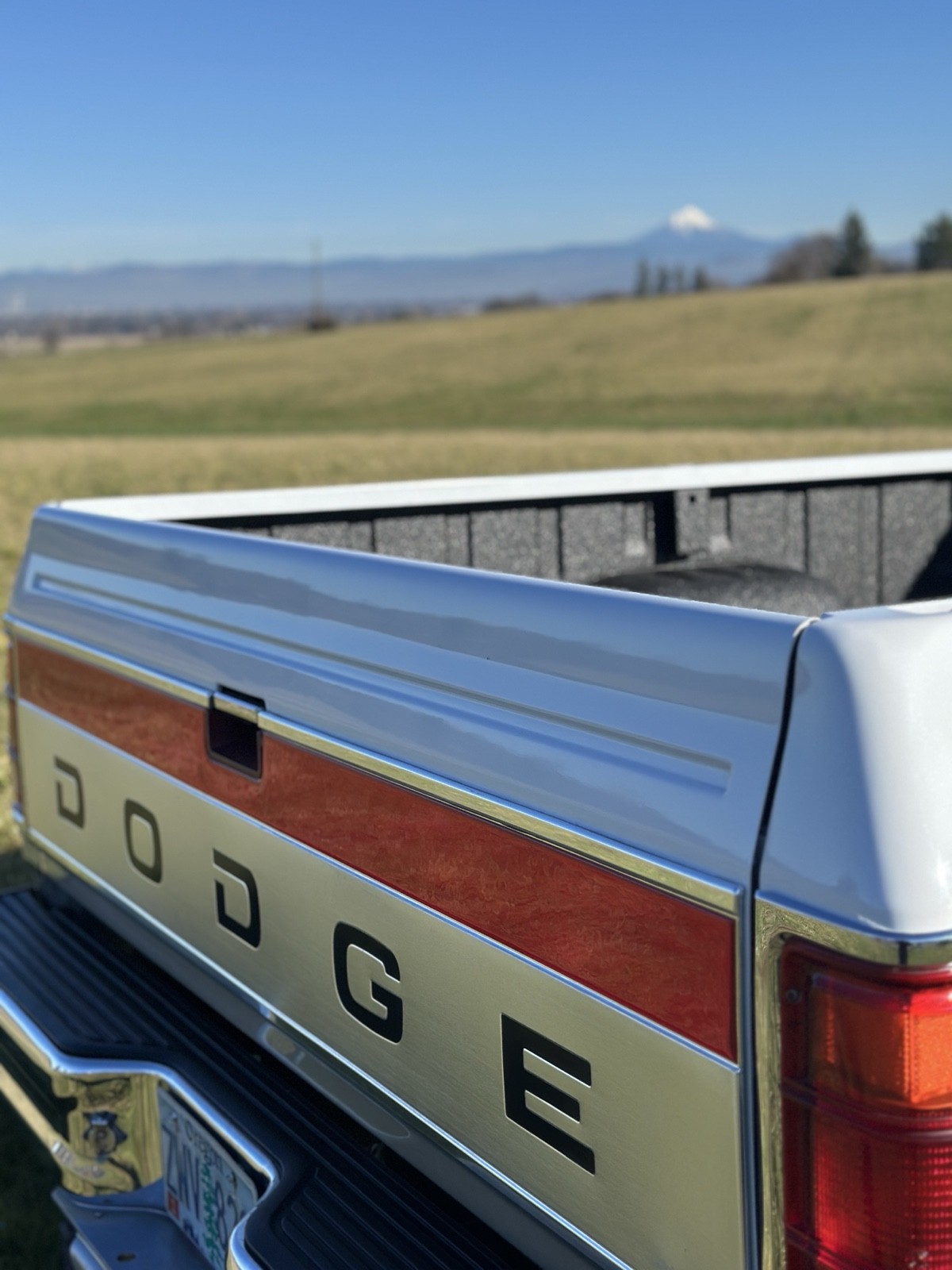 Dodge-W-Series-1992-21