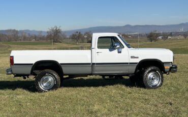 Dodge-W-Series-1992-23