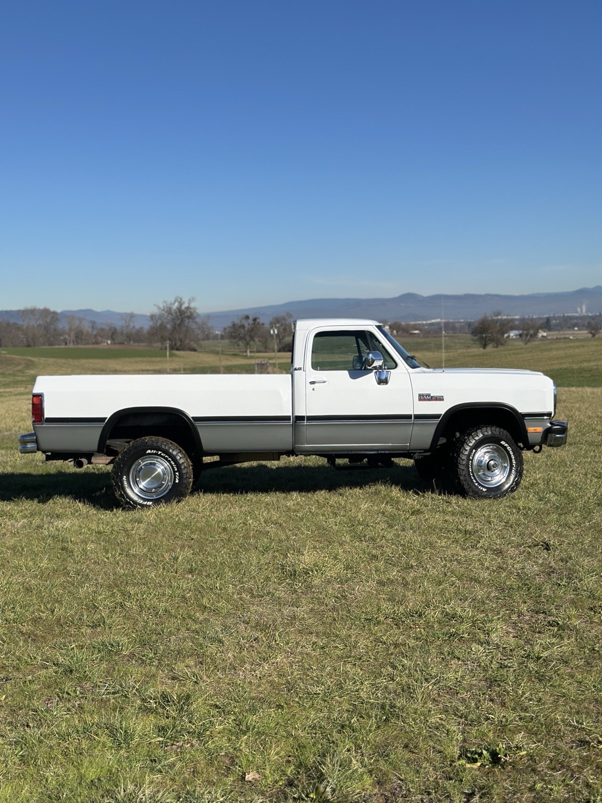 Dodge-W-Series-1992-23