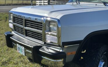 Dodge-W-Series-1992-24