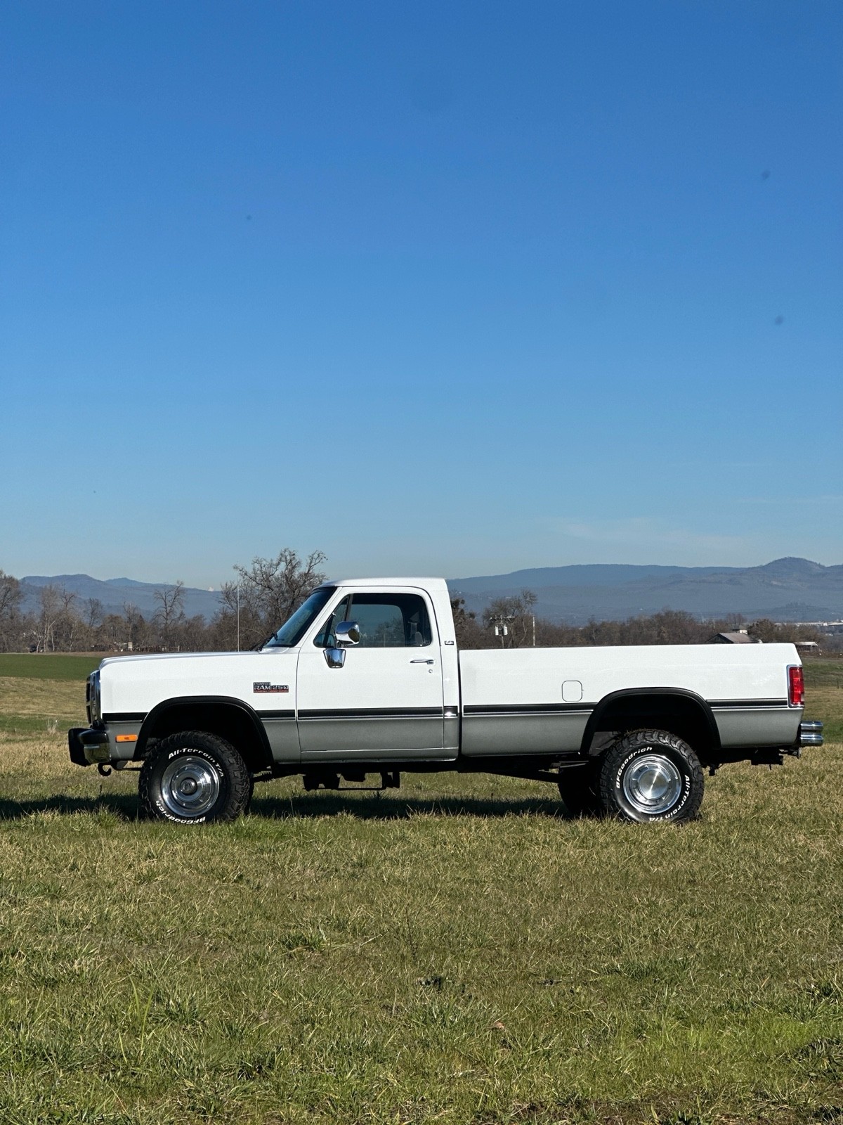 Dodge-W-Series-1992-26