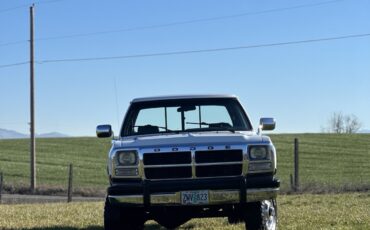 Dodge-W-Series-1992-27