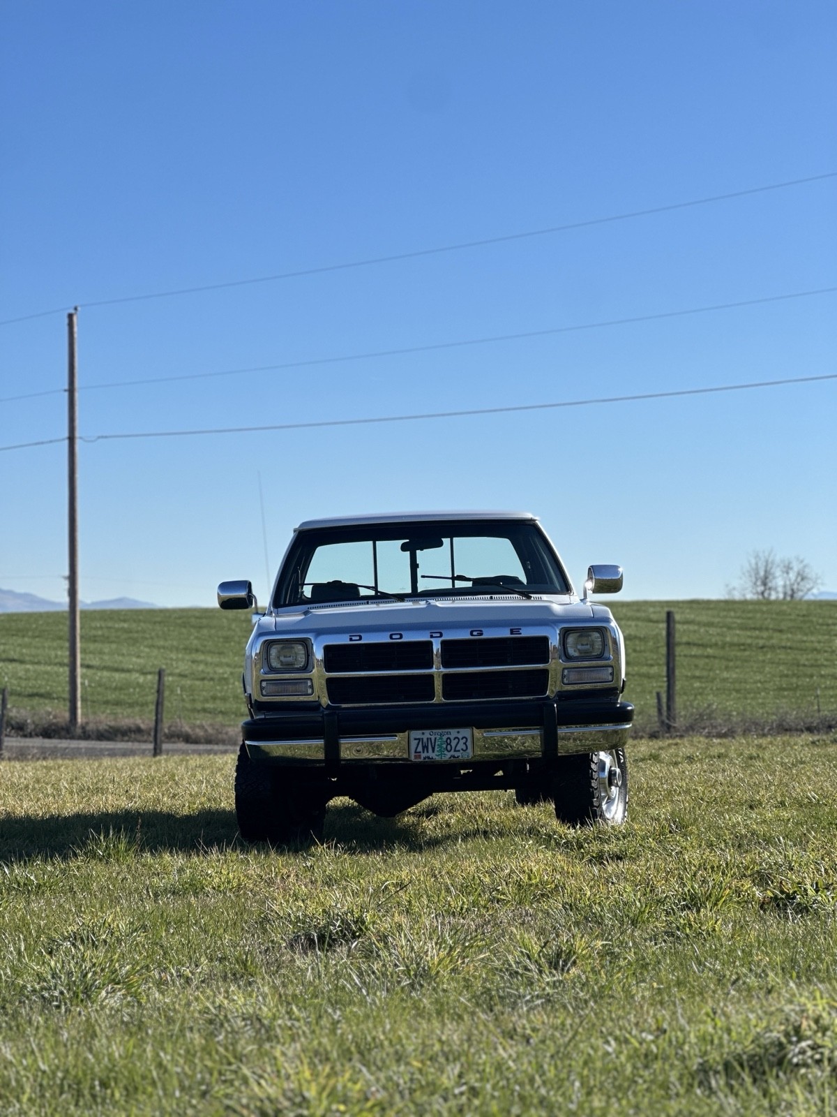 Dodge-W-Series-1992-27