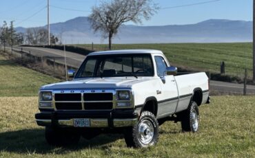 Dodge-W-Series-1992-28