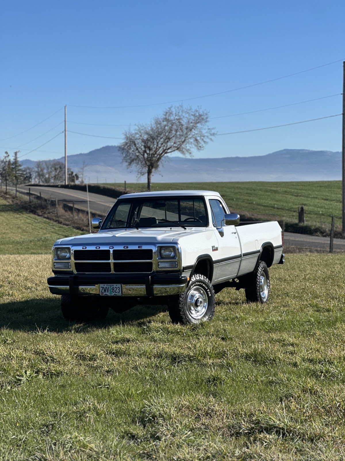 Dodge-W-Series-1992-28