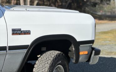 Dodge-W-Series-1992-29