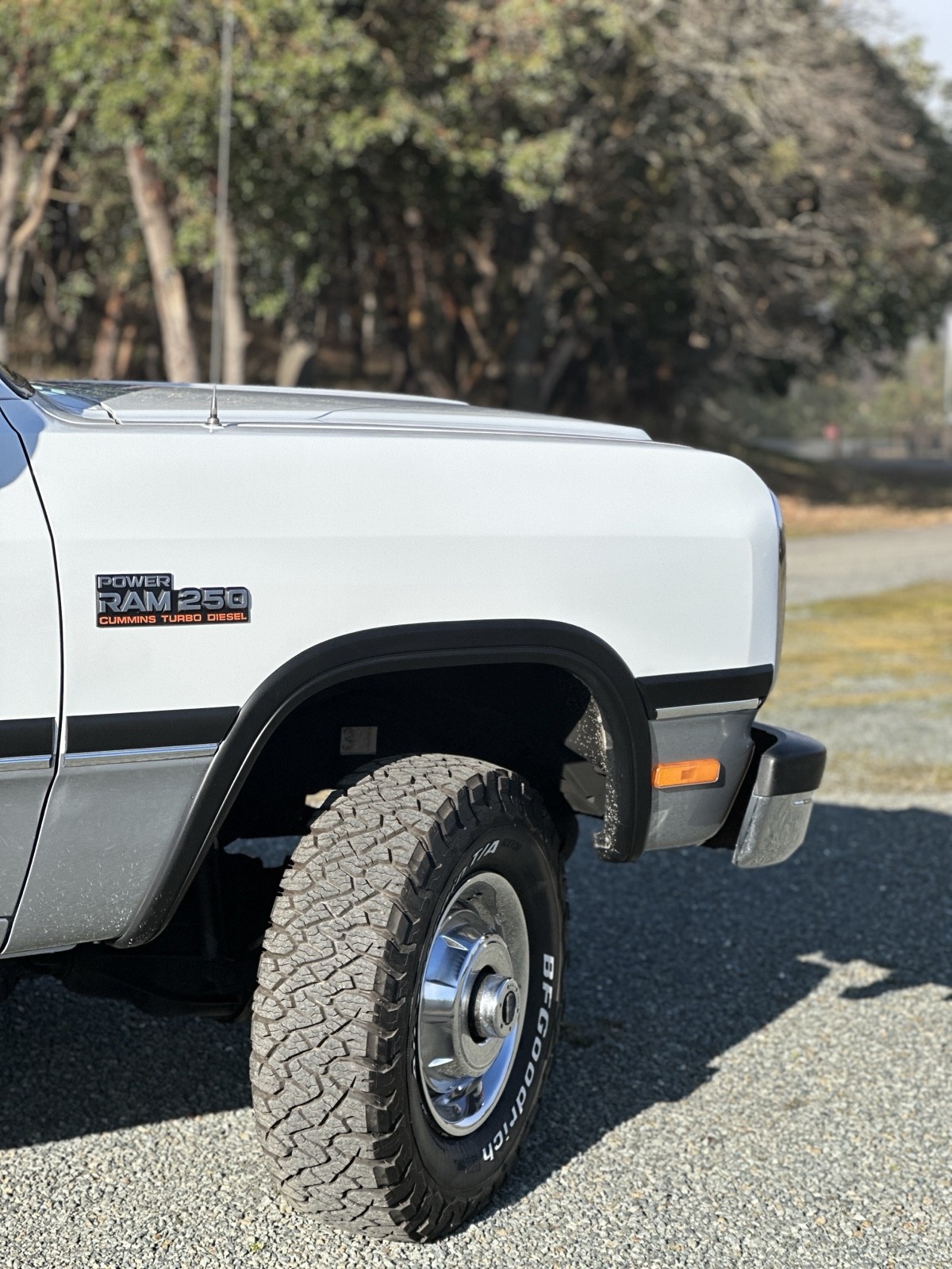 Dodge-W-Series-1992-29