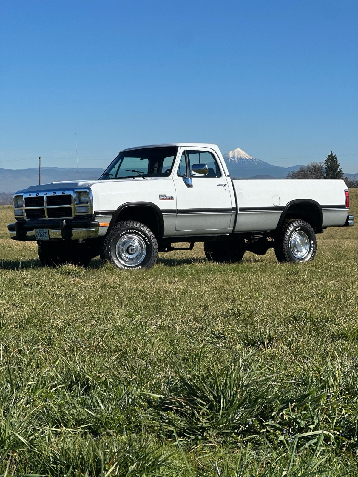 Dodge-W-Series-1992-3