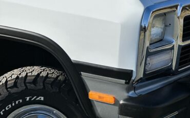 Dodge-W-Series-1992-30