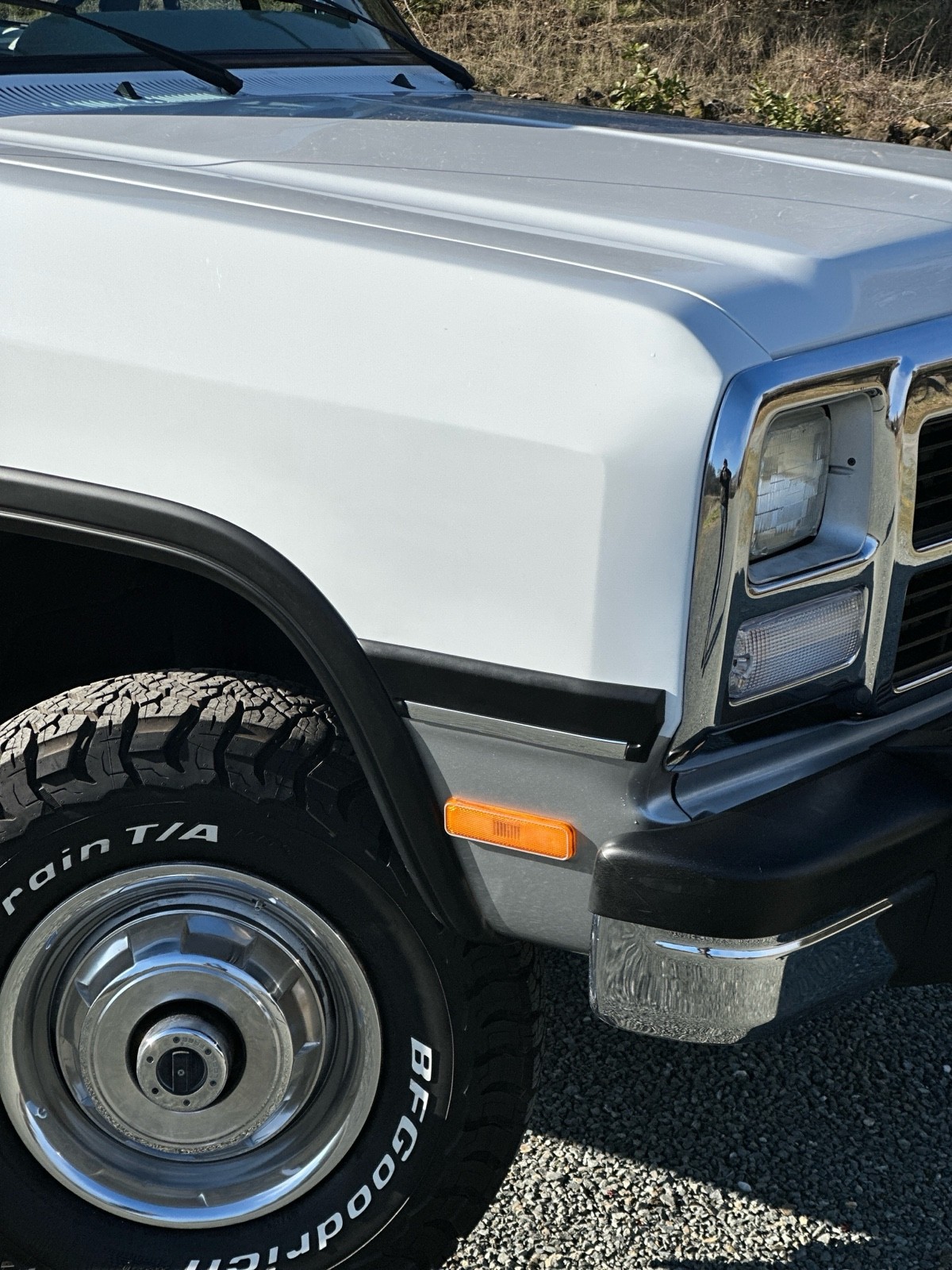 Dodge-W-Series-1992-30