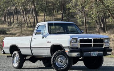 Dodge-W-Series-1992-31