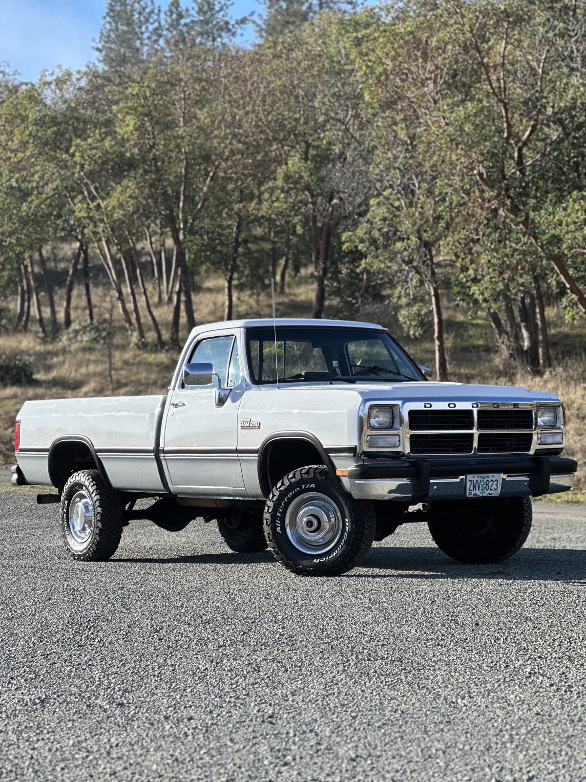 Dodge-W-Series-1992-31