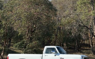 Dodge-W-Series-1992-32