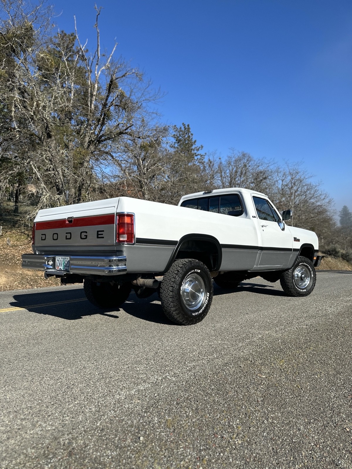 Dodge-W-Series-1992-39