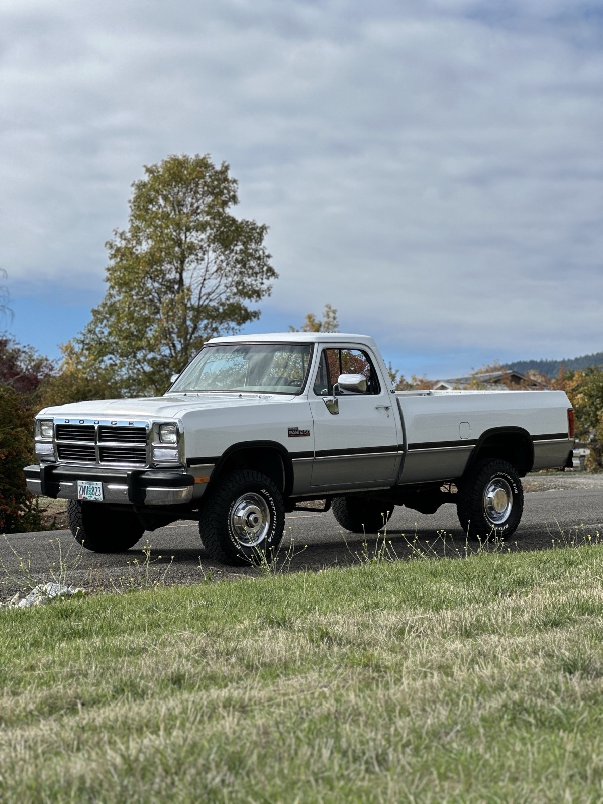 Dodge-W-Series-1992-7