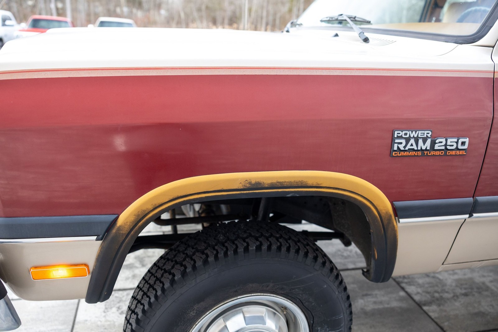 Dodge-W250-1993-Pickup-Truck-24