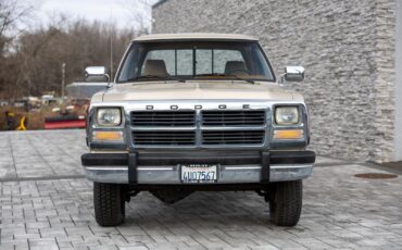 Dodge-W250-1993-Pickup-Truck-6