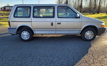 Dodge-caravan-1991-4