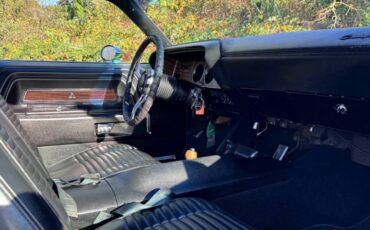 Dodge-challenger-rt-1970-green-8