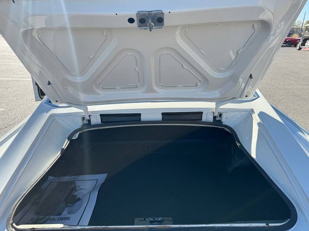 Dodge-charger-1966-white-167