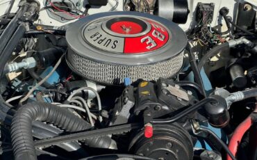 Dodge-charger-1966-white-223