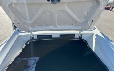 Dodge-charger-1966-white-242