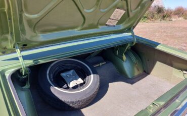 Dodge-charger-1972-green-12