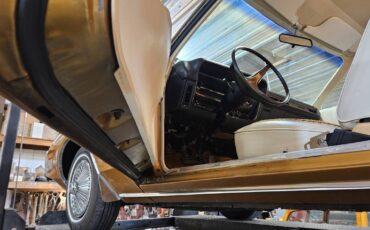 Dodge-charger-1973-5