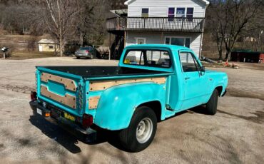 Dodge-d-100-1974-1