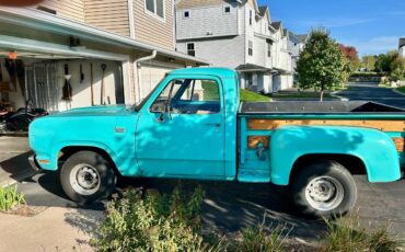 Dodge-d-100-1974-10