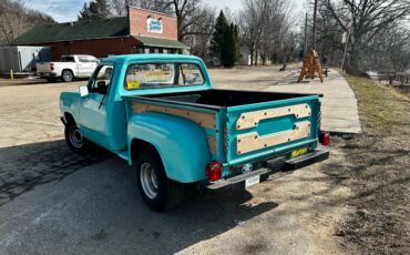 Dodge-d-100-1974-2
