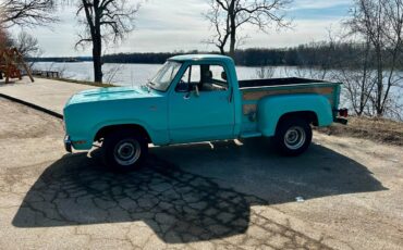 Dodge-d-100-1974-3