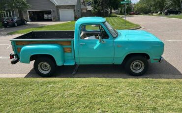 Dodge-d-100-1974-4