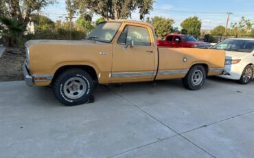 Dodge-d100-1975-2