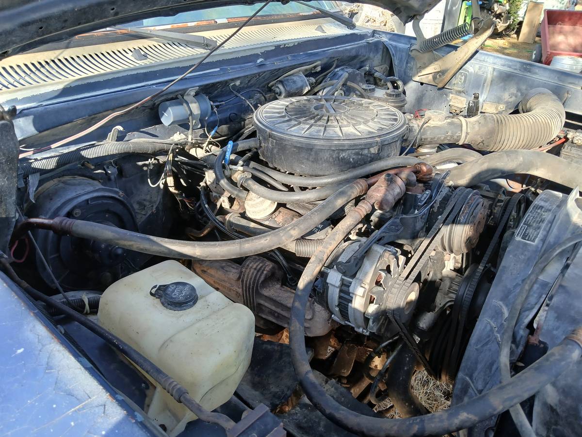 Dodge-d100-1989-blue-12