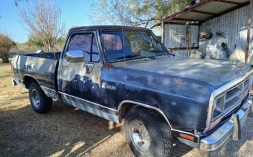 Dodge-d100-1989-blue-6