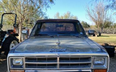 Dodge-d100-1989-blue-7