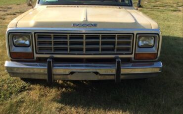Dodge-d150-1985-brown-1