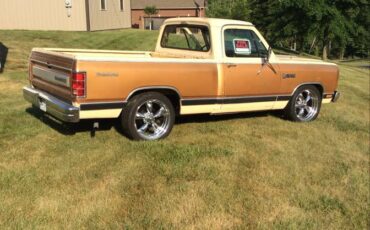 Dodge-d150-1985-brown-2
