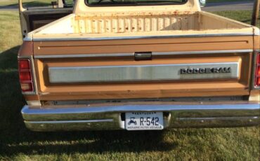 Dodge-d150-1985-brown-3