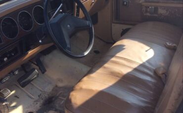 Dodge-d150-1985-brown-5