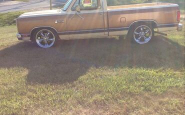 Dodge-d150-1985-brown-6
